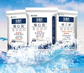 中国腐植酸网