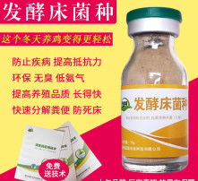 探索微观世界 生物菌种的高清图片之眼