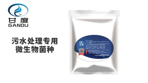 甘度 选用微生物污水处理菌种时需注意的关键事项