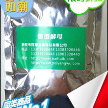 河南鹤壁人元生物 有机肥设备与发酵菌种的行业标杆