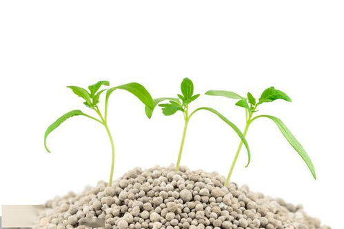 农资小科普 聊聊化肥那点事——生物菌种的奇妙世界