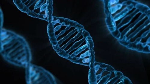生物实验室必备设备与生物菌种介绍
